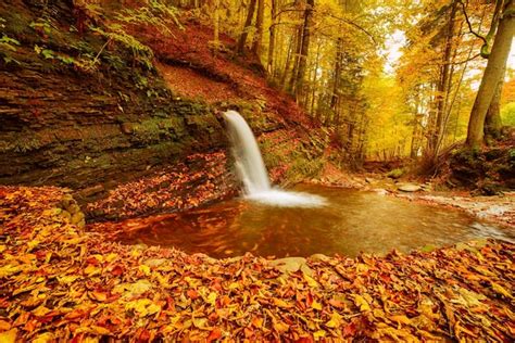 Premium Photo Autumn Mountain Waterfall