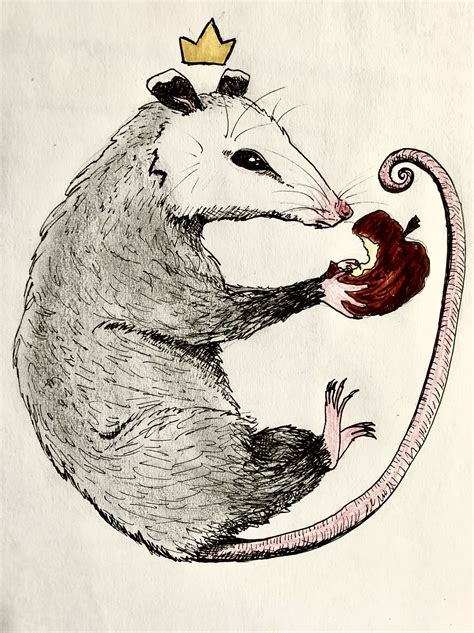 Opossum Queen Art Inspiration Animal Paintings Animal Art