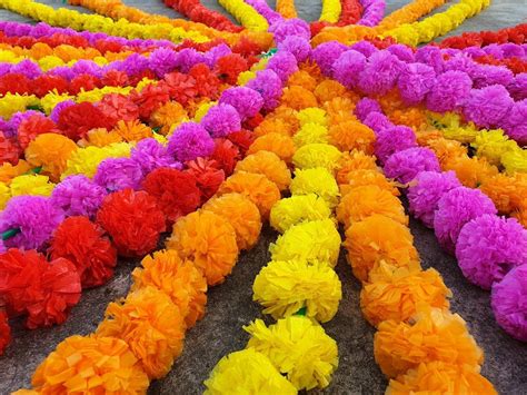 Check spelling or type a new query. 70 Pcs Real Look Artificial Garlands Marigold Flower ...