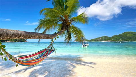 Разноцветный гамак висит на пальме на тропическом пляже обои для