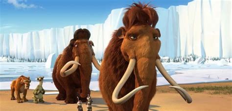 A type of cloth made from camel hair; Tropical Findings in Frozen Tundra