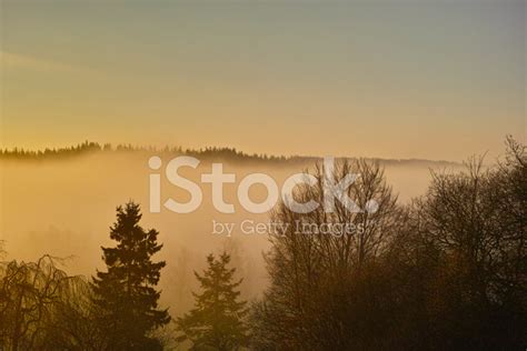 Misty Morning Sunrise Stock Photo Royalty Free Freeimages
