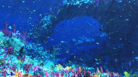 Ocean Underwater Wallpaper Hd Pixelstalknet