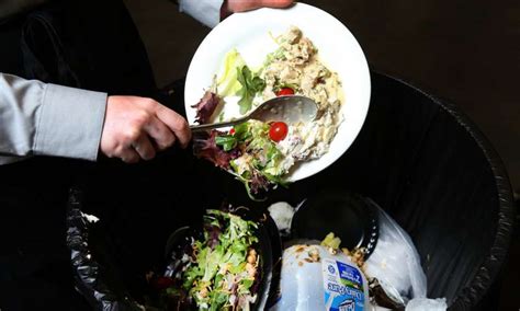 Avoidable food waste is defined as food that could still be eaten when it was thrown or unfinished food on our plates. Food wastage: China launches 'Clean Plate' campaign