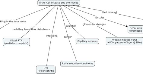 Nephron Power Concept Map Sickle Cell Disease And The Kidney