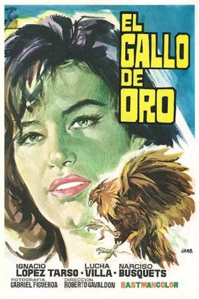El Gallo De Oro Kino Und Co