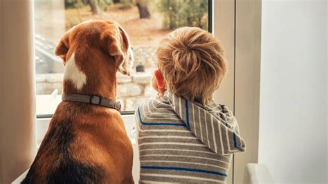 4 Convincing Reasons Why Children Need A Dog In Their Life