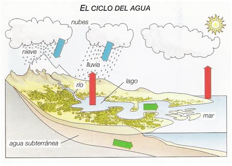 Primaria Dibujo Completo Dibujo Del Ciclo Del Agua Ciclo Del Agua