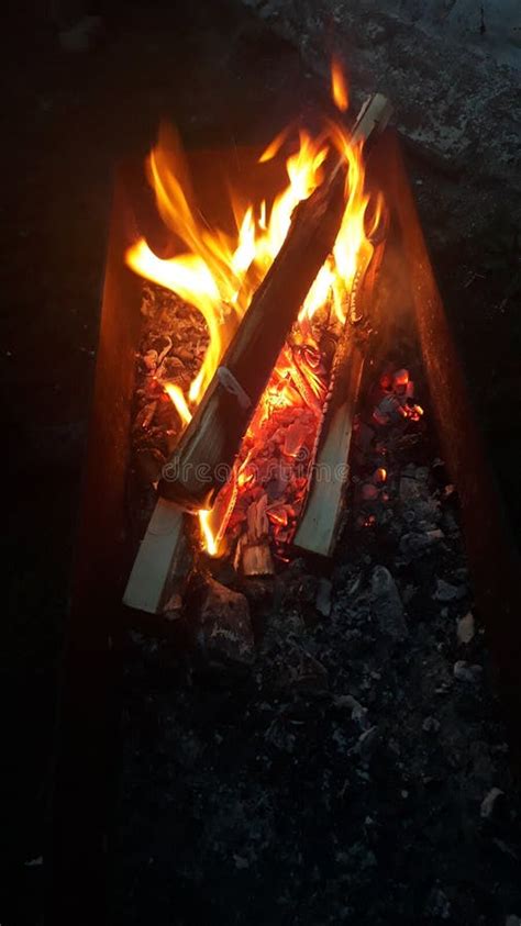 Fire Wood Is Burning Bonfire Barbecue Stock Photo Image Of Odorous