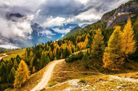 Fall Mountain Clouds Forest Road Alps Italy Nature