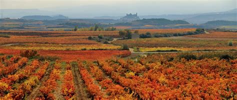 Rioja Alavesa Wine Region La Rioja Cellar Tours