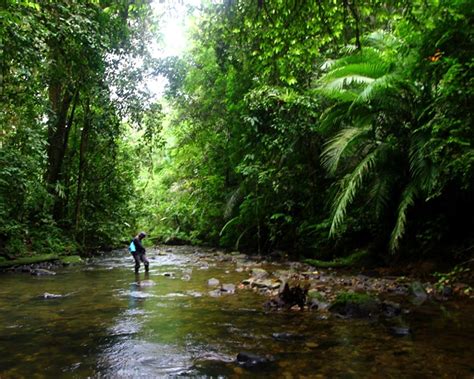 Sehingga pada banjir susulan yang terjadi di jagoi ini merupakan yang ketiga kalinya ia menambahkan, selain itu banjir yang melanda sejumlah wilayah di kabupaten bengkayang beberapa waktu terakhir ini disebabkan beberapa faktor. Banjir di Siberut, Kajian Karakteristik Daerah Aliran ...