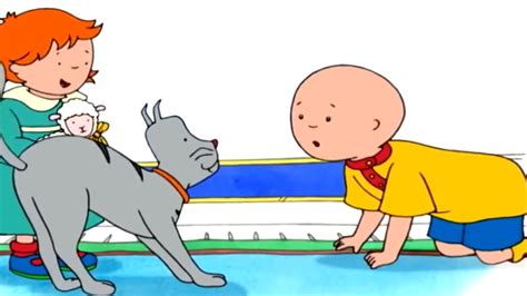 Caillou Vs Gilbert Caillou Cartoon Youtube