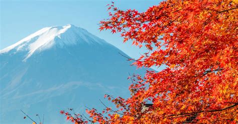 Mount Fuji Shimizu Japan Sake Tasting And Mt Fuji World Heritage