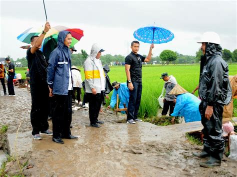 We did not find results for: Presiden Jokowi: Gaji Program Padat Karya Disesuaikan Pasar | Sekretariat Kabinet Republik Indonesia