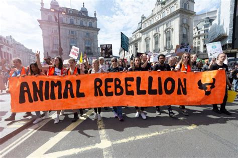 Record 12000 Vegan Activists Take Part In London Animal Rights March