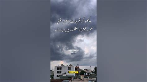 Surah Takasur Urdu Translation Shorts Youtube
