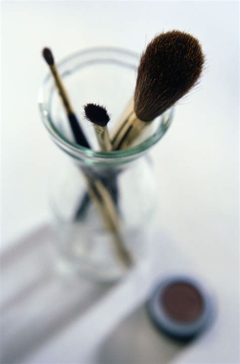What Shoo Can You Use To Clean Makeup Brushes Mugeek Vidalondon