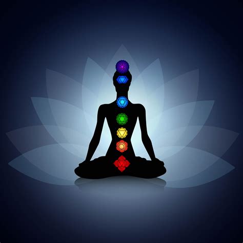 the 7 chakras