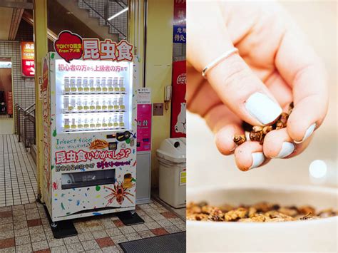Japans Edible Insect Vending Machines Dish Out Luxury Bug Bits Japan