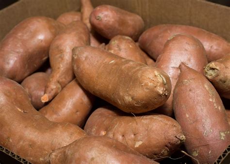 Sweet Potatoes Vs Yams Whats The Difference Mississippi State