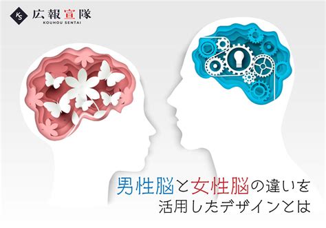 男性脳と女性脳の違いを活用したデザインとは サブスク 定額制 で実績28年のデザイン会社に依頼『広報宣隊』