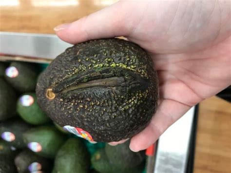 An Avocado That Looks Like A Vagina Found In Coles Casuarina
