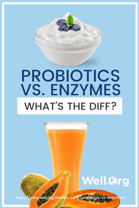 How The Best Probiotic And Enzyme Factors Differ And Why You Need
