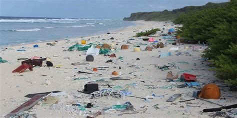 Scientists Find Remote Beach Covered With 19 Tons Of Trash