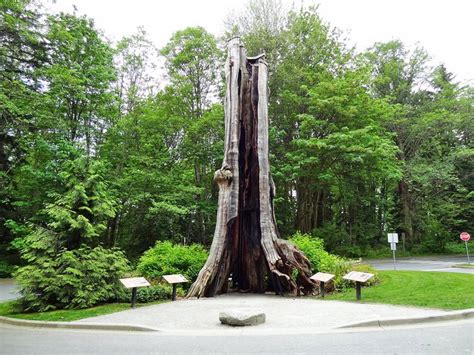 11 Top Rated Tourist Attractions In Stanley Park Planetware