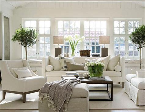 22cozy Traditional Living Room Indoor Plant Modern White Decorwhg