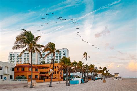 Hollywood Beach Hotels Hotels Walking Distance To Hollwood Beach Fl