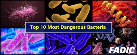 Harmful Microorganisms With Names