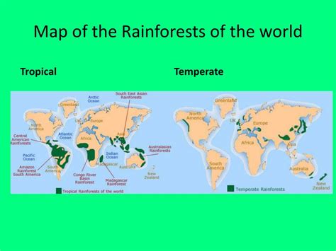 Map Of The Rainforests Of The World World Map