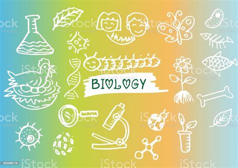 Hand Sketches On The Theme Of Biology Stock Illustration Download