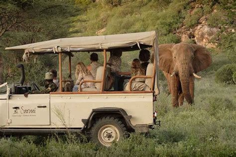 Our Top 10 Kenya Safari Tours And Vacations Go2africa