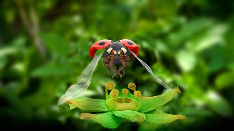 Fond Décran Feuilles Animaux Profondeur De Champ La Nature Ailes