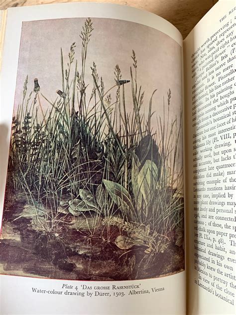 Antique Botanical Book The Art Of Botanical Illustration Etsy