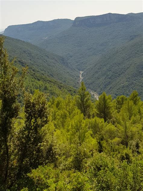 Sardinian Valley Stock Photo Image Of Sardinian Forest 159641208