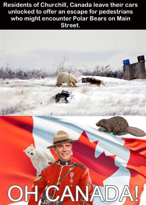 Canada Funny Canada Funny Meanwhile In Canada Funny Pictures