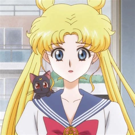Usagi And Luna Sailor Moon Character Sailor Moon Usagi Sailor