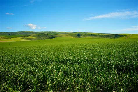 Green Midwest Farmland Free Stock Photo Public Domain Pictures