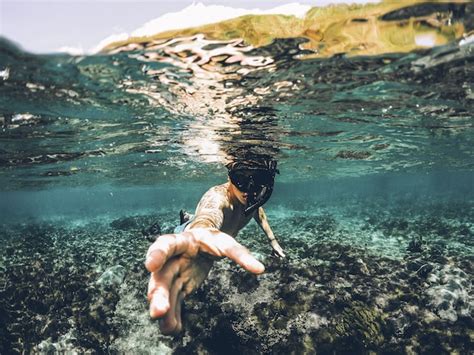 De Beste Locaties Om Te Snorkelen En Duiken In Hawaii All Inclusive
