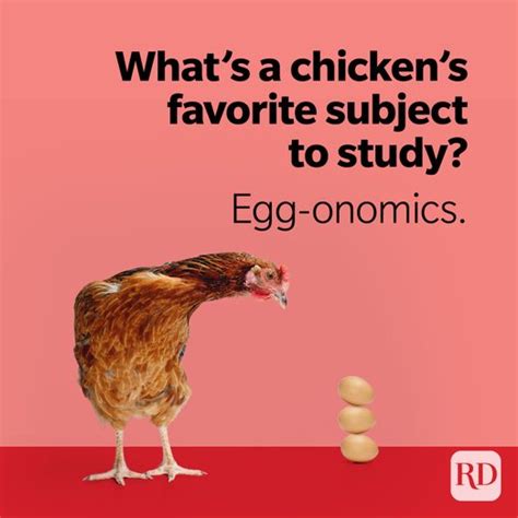 30 Chicken Puns That Are Eggs Traordinarily Funny Readers Digest