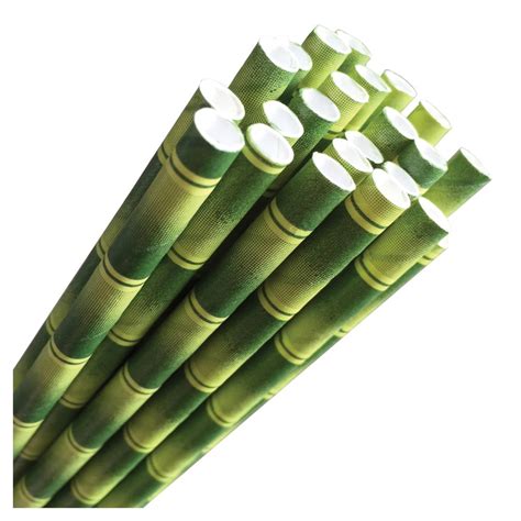 Paper Straw Regular Bamboo Print 3456055 Reward Hospitality
