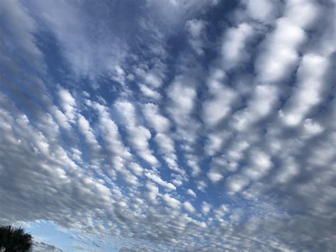 Cirrus Clouds I Think Orlandofla Its An Iphone 1125x2436