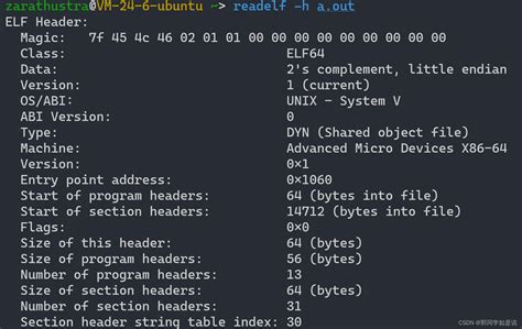 分析linux二进制文件的常用命令：xxd Readelf File Objdump二进制命令 Csdn博客