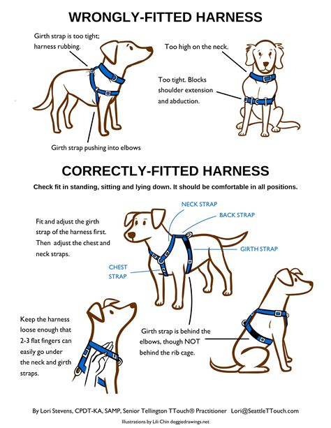 Doggie Drawings Infographics