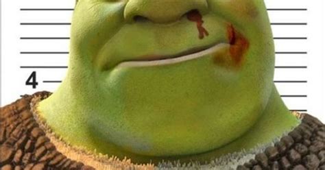 Funny Shrek Potraits Pinterest Shrek Photoshop And Beats