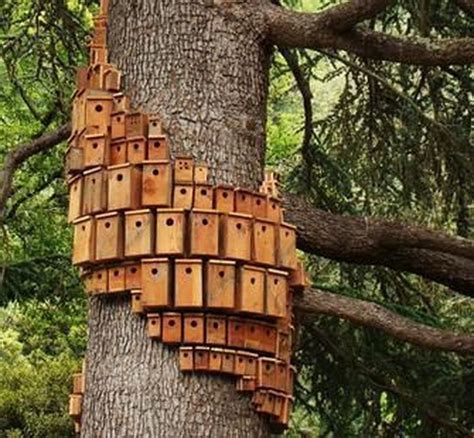 50 Amazing Bird House Ideas For Your Backyard Space Bird Houses Bird